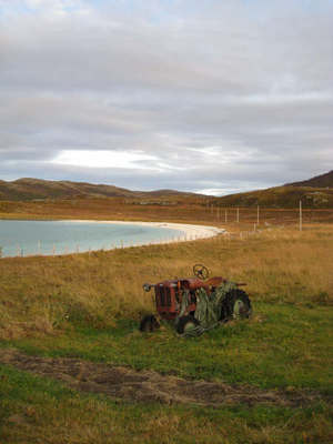  15. Sandvikneset med rester av det som en gang var landbruk.